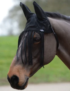 Fly Fringe With Ears