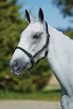 Leather Rope Headcollar