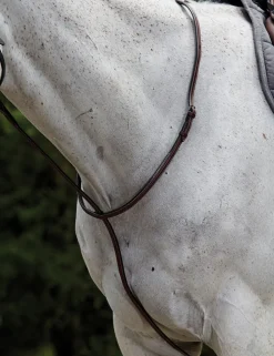 Raised Standing Martingale II