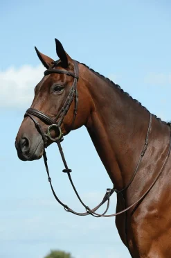 Syntovia+ Plain Flat Running Martingale